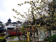 -江宁织造博物馆