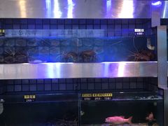 水产区-华兴大酒楼(亿宝大厦店)