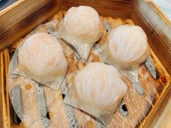 -韩上楼