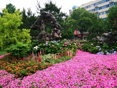 -常州古运河南大街文化旅游区-人民公园
