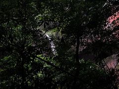 -沐川竹海旅游景区
