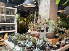 -自由生长植物工作室(深港花卉中心店)