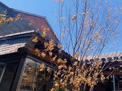 -VOYAGE COFFEE(杨梅竹店)