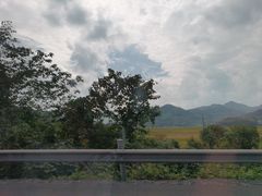 -杭州湾海上花田景区