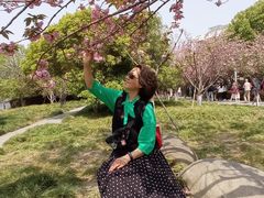 -高东镇樱花园