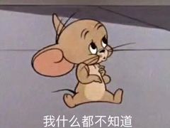 -大个子蒸饭
