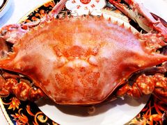 清蒸飞蟹-万宝海鲜舫(劳动公园店)