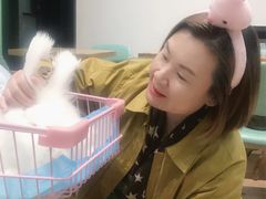-猫色咖啡·猫咖