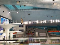 -重庆市奥林匹克体育中心-游泳跳水馆