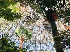 -西峡恐龙遗迹园