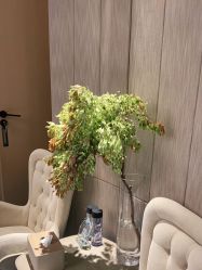 -美壹生皮肤管理中心
