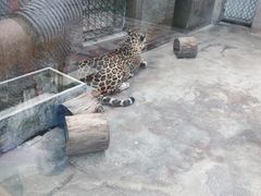 -西安秦岭野生动物园