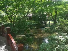 -中国茶叶博物馆(双峰馆区)
