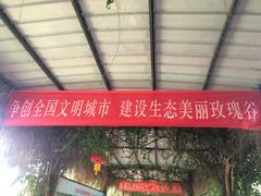 -亚龙湾国际玫瑰谷