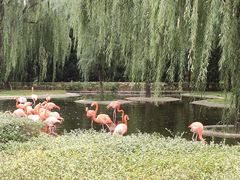 -石家庄市动物园