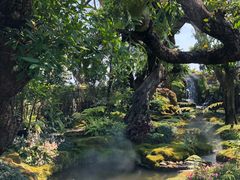 -Chom Cafe and Restaurant