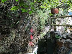 -牛鱼嘴原始生态风景区