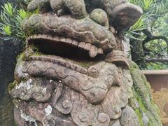 -青城山
