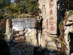 -广州市流溪河国家森林公园