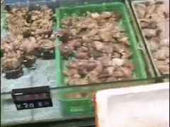 -越百海海鲜蒸锅(乐山店)