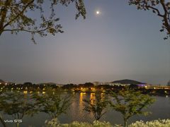 -羊山湖公园