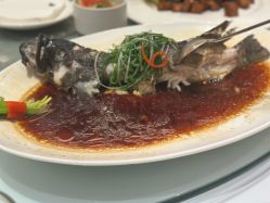 -金茂深圳JW万豪酒店·宴会厅