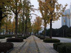 -百林公园-两江幸福广场