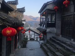 -后柳水乡