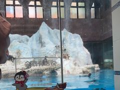 -帝企鹅自助餐厅•儿童岛•真企鹅(长隆企鹅酒店)