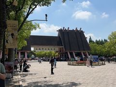-上海野生动物园