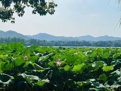 -浙江省博物馆(孤山馆区)