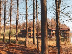 景点-黄海国家森林公园