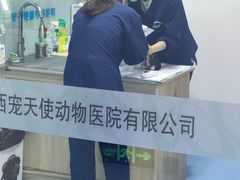 -天使宠物医院·犬猫分诊(彩虹店)