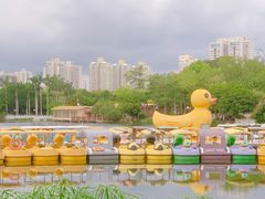 -荔枝公园(福田区)