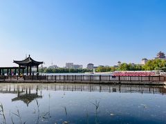 -莲花池公园