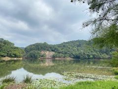 -广州市石门国家森林公园