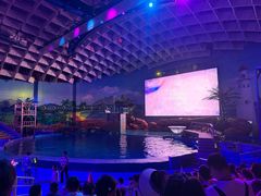 -海合安武汉极地海洋公园