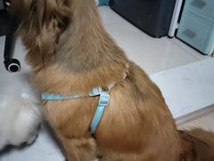 -重庆鸡公煲·青锅花椒鱼(牡丹江路店)