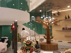 -飞行喵MR PILOT|猫舍·猫咖(静安大融城店)