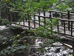 -青峰峡国家森林公园