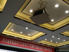 -成都峨眉雪芽大酒店