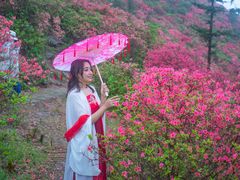-木兰云雾山