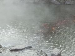 -竹泉村旅游度假区