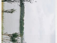 -飞来湖湿地公园