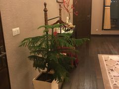 -太极禅苑