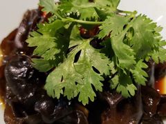 -驿舍·民國老营房院子私房菜(科学会堂店)