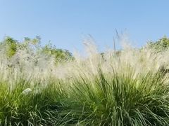 -盘龙城遗址博物院