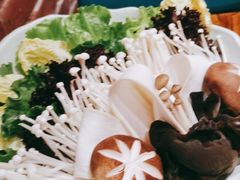 菌菇蔬菜拼盘-额尔敦草原涮羊肉·烧烤(冻青树总店)