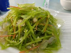 笋丝海蜇皮-域乐楼清真饭庄(华北路店)