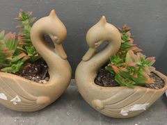 -千禧万福汉亭舫·船舫苏宴